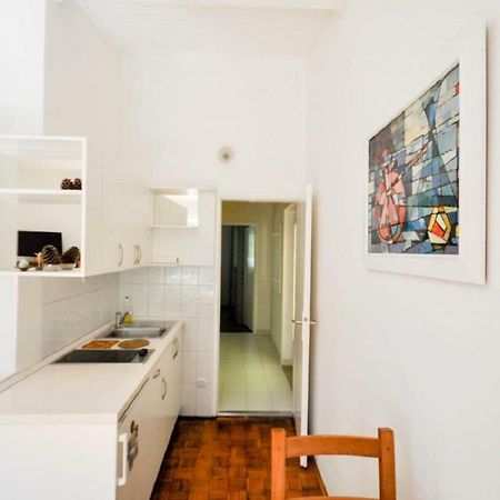 Palme Apartment Novigrad Istria Esterno foto